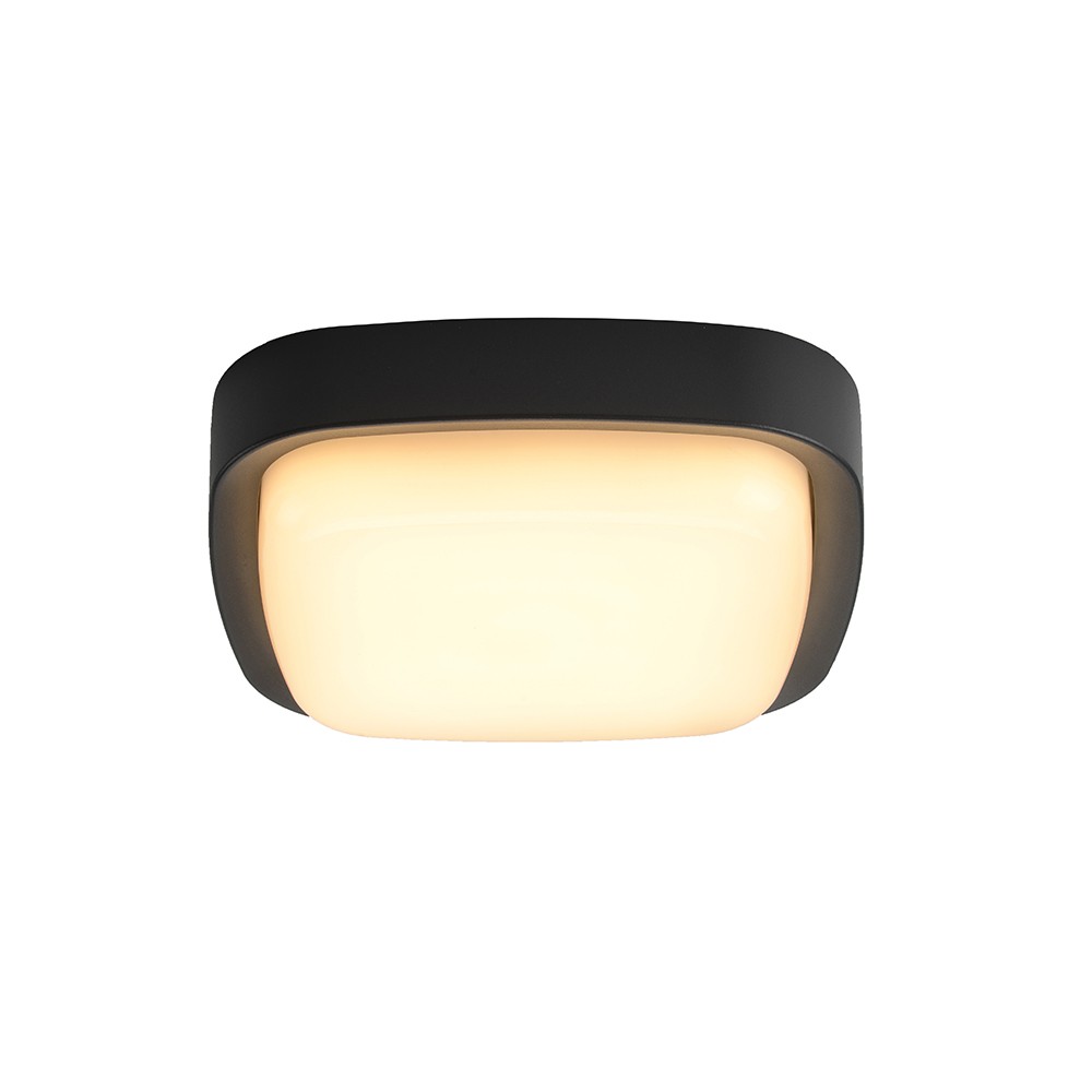 Surface Square 12W PLX 2020