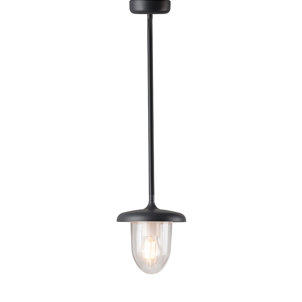 Garden Pendant Light PLX 8001-PS