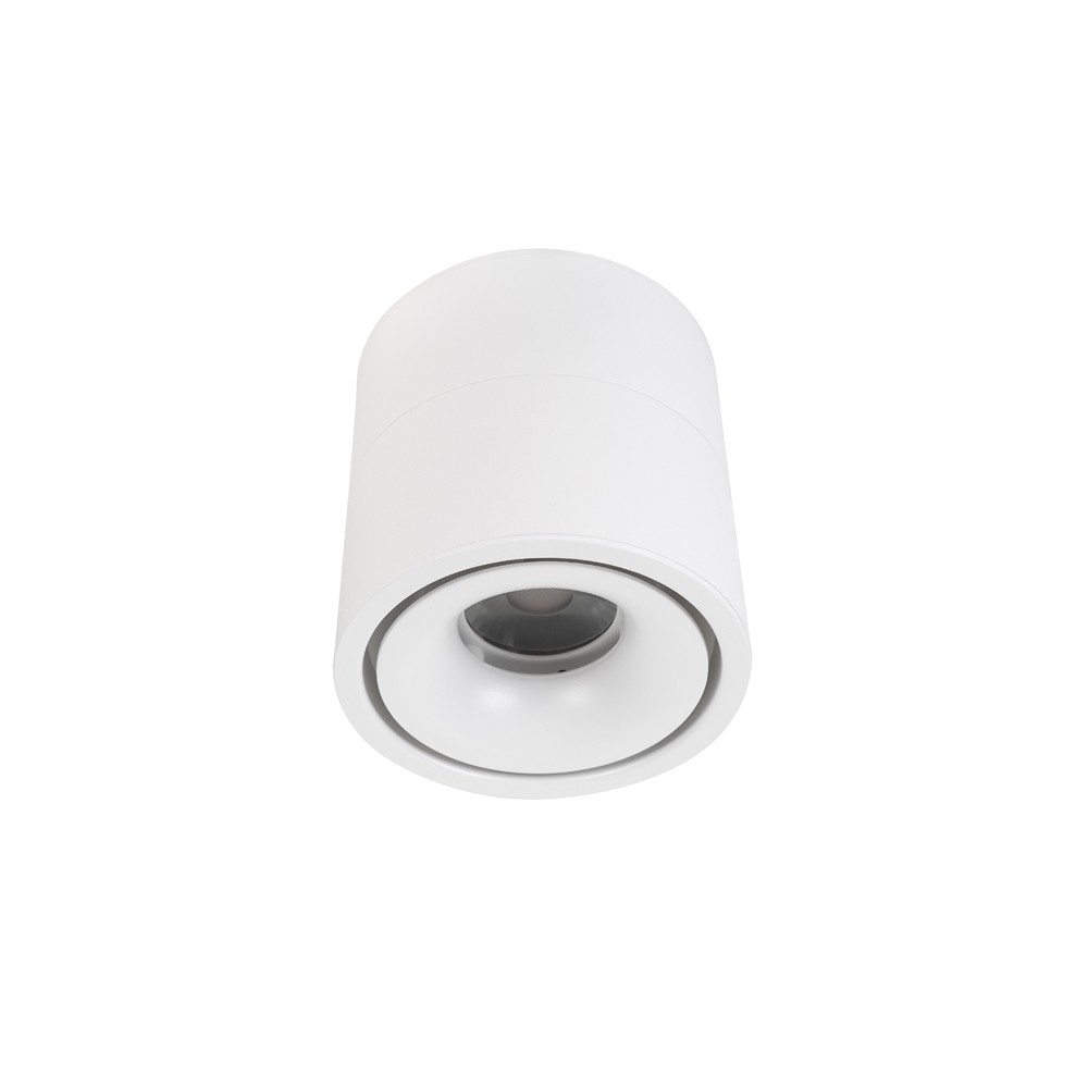 Adjustable Surface white 10w